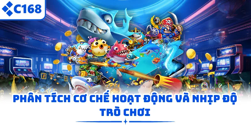 Phân tích cơ chế hoạt động và nhịp độ trò chơi